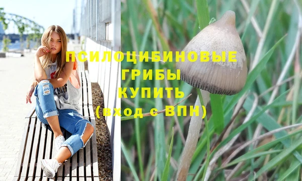 спиды Аркадак