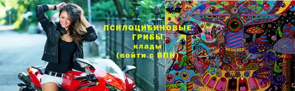 спиды Аркадак