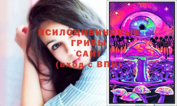 спиды Аркадак