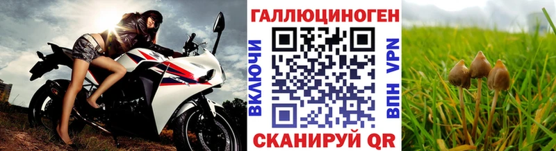 дарнет шоп  Семикаракорск  Псилоцибиновые грибы GOLDEN TEACHER 